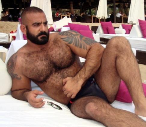 Diamond reccomend Bear gay hairy picture