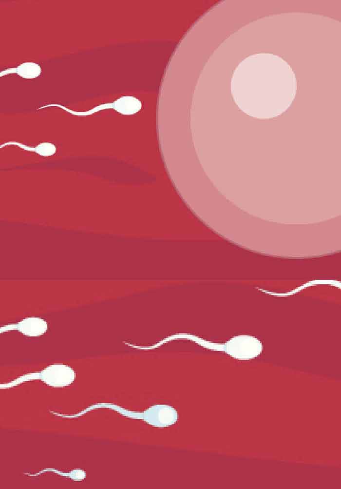 Snow W. reccomend Sperm preparation for artificial insemination