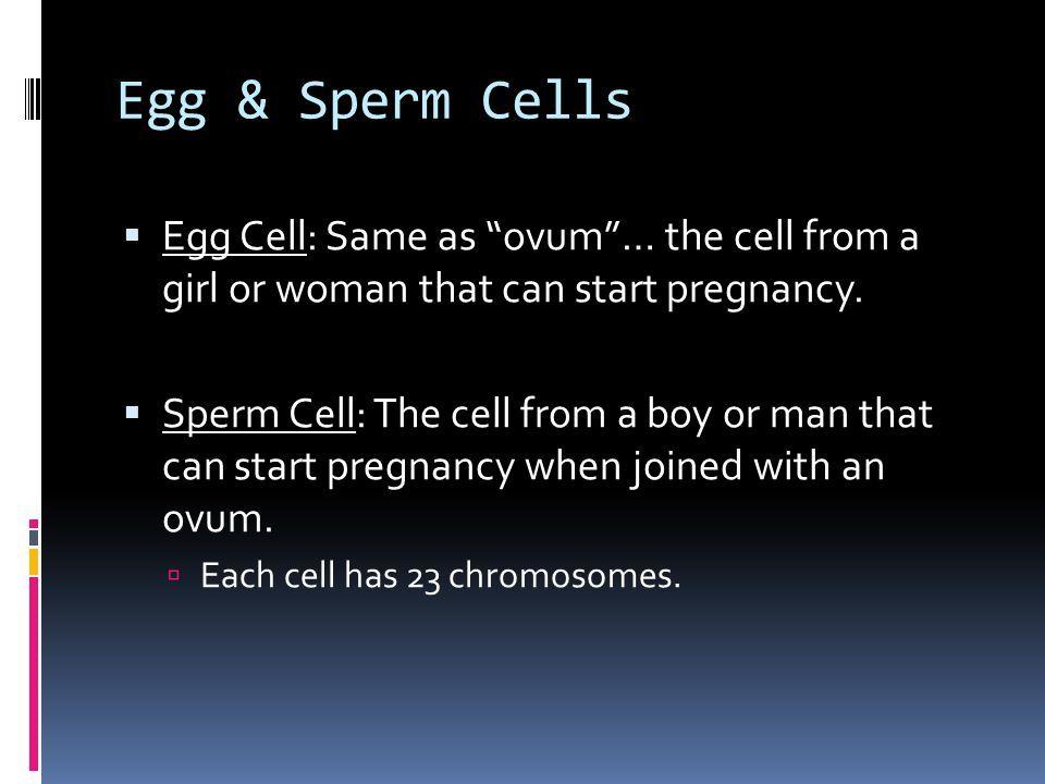2 sperm 1 ovum defect