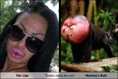 Tic T. reccomend Lips like a big butt monkey
