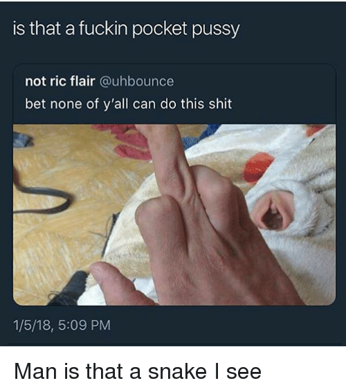 best of Can pussy in a Cat pocket