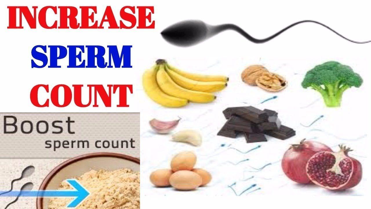best of Sperm count that can increase Food