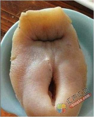 best of Disgusting Pics of vagina most looking
