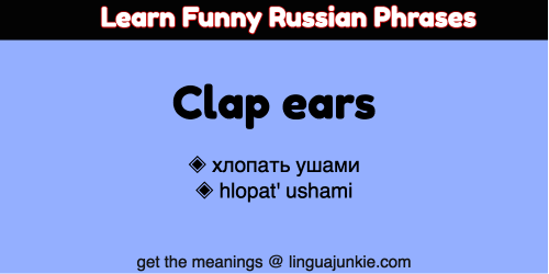 best of Jokes Funny russian phrases and