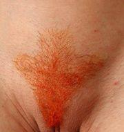 best of Pussy hair Colored