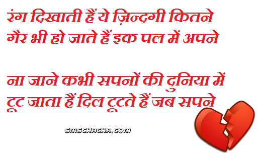 best of Shero Funny shayri hindi