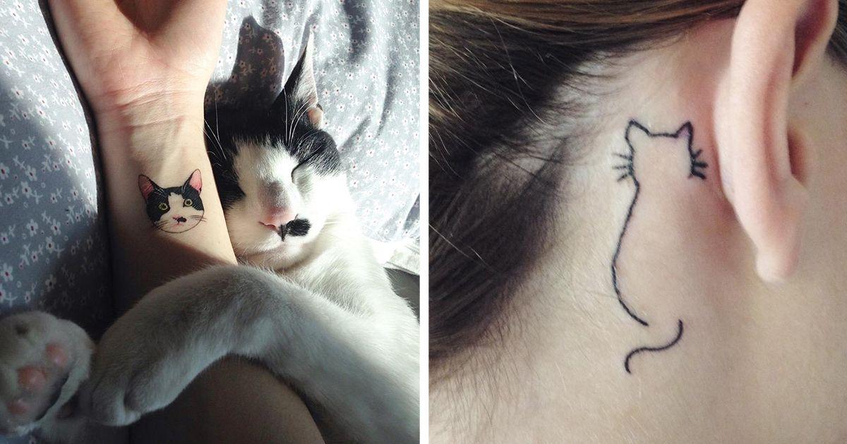 Cat facial tattoos