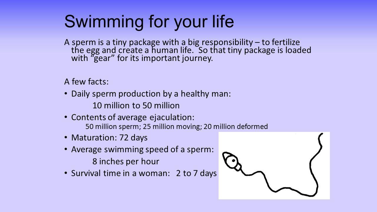 Husky reccomend Average life of sperm
