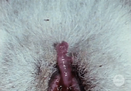 Nasty Looking Vagina