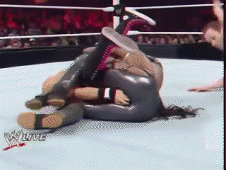 Wwe diva pussy picture