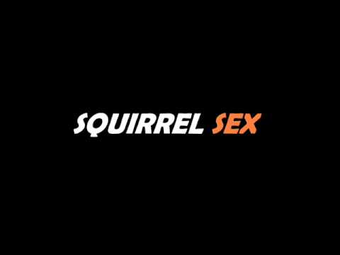 best of Having ringtone Squirrels sex