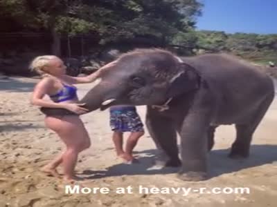 best of Movie spy free Elephant naked