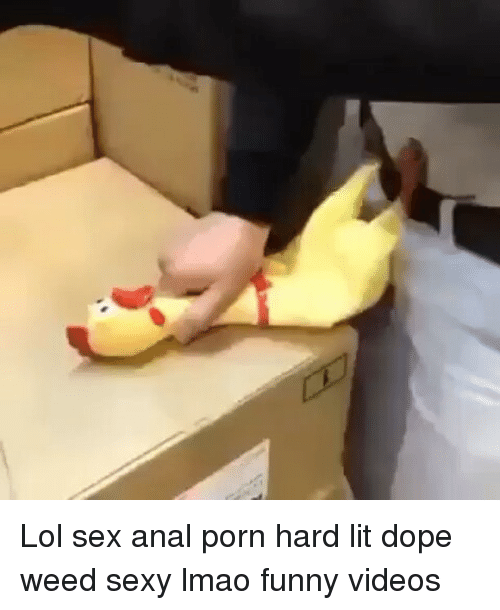 Funny hard sex images