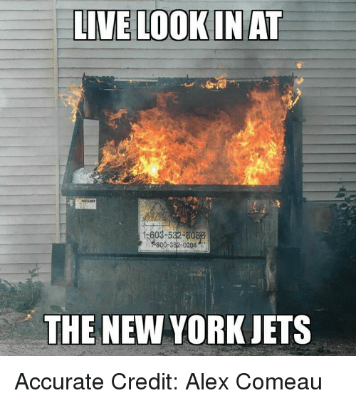 best of Jets Funny pics ny