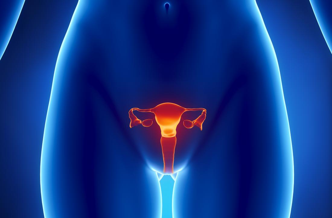 Depth of a womens vagina