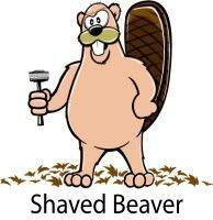 best of B eaver Shaved