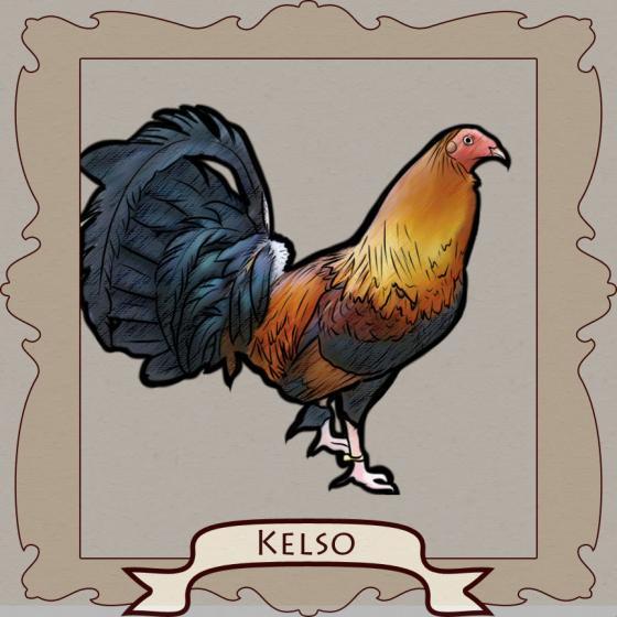 best of Fighting rooster cock Best