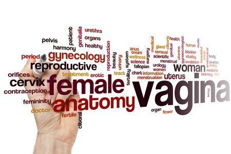Vivi reccomend Depth of a womens vagina