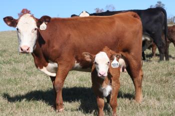 Outlaw reccomend Job search ranch hand cow calf