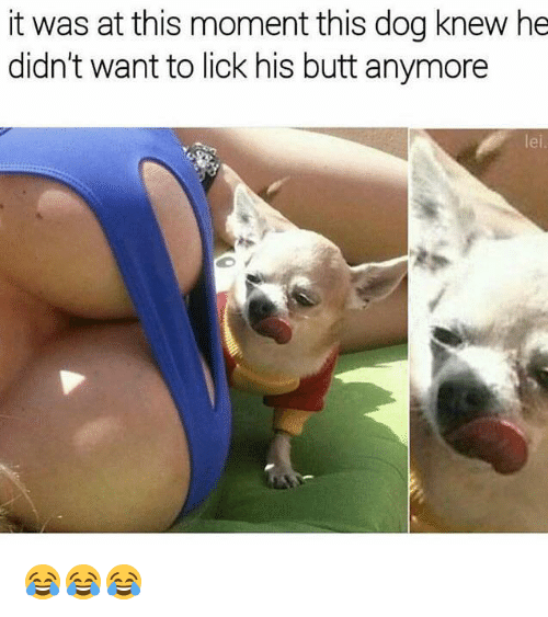 Dahlia reccomend Is it safe to lick his ass