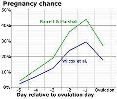 Does oral sex before intercourse reduce the chance of conception