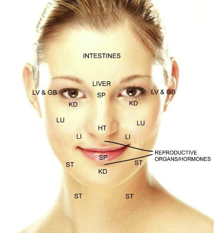 best of Facial rejuvenation acupuncture Acutron