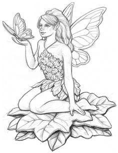 Adult fairy drawings nude