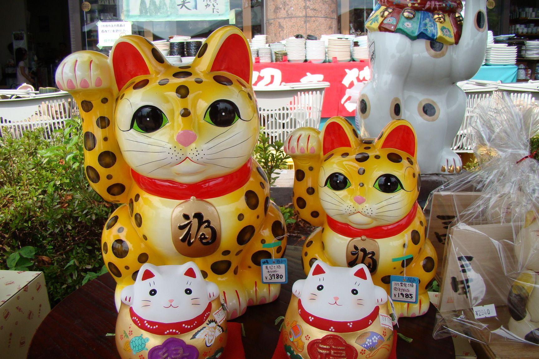 best of Prosperity cat Asian