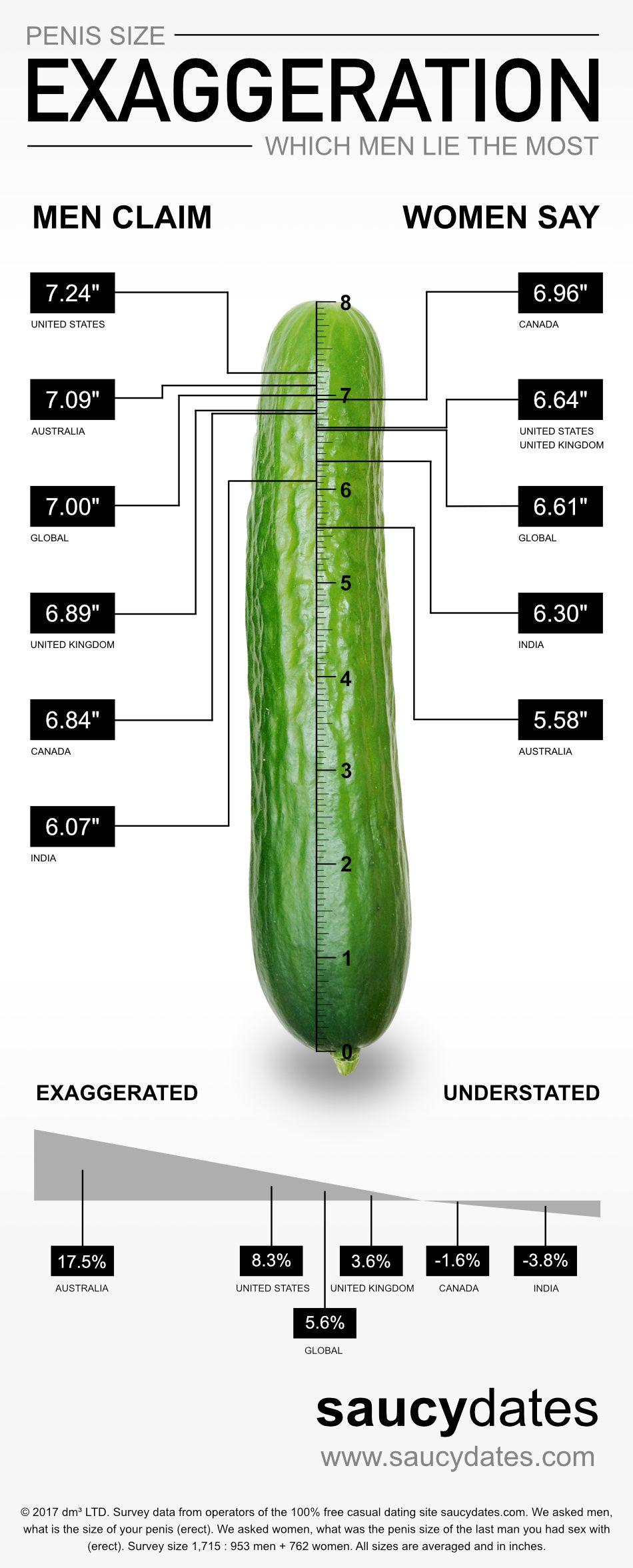 Avg size of the male penis