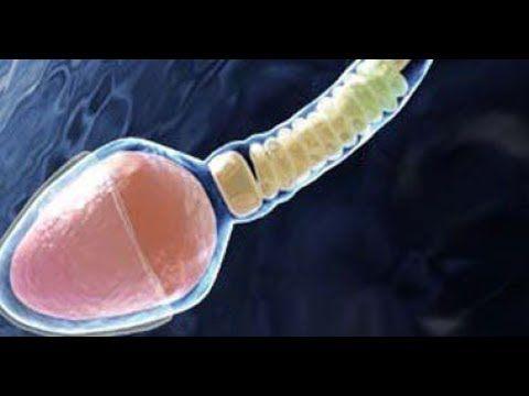 Can swalowing sperm cause hiv