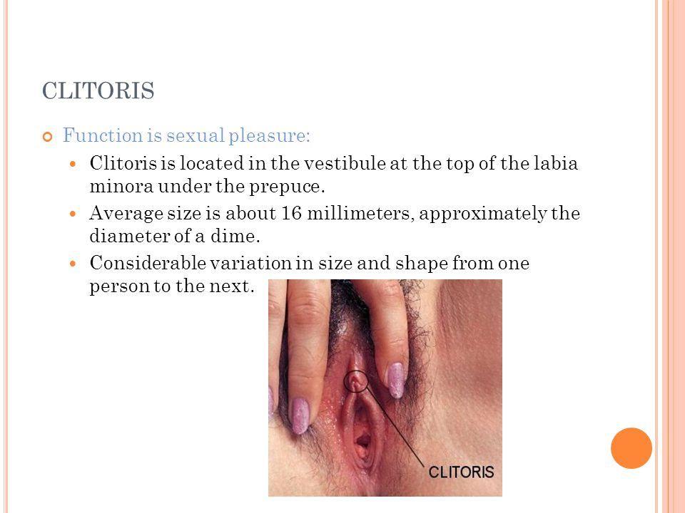 best of Size sexual promiscuity and Clitoris