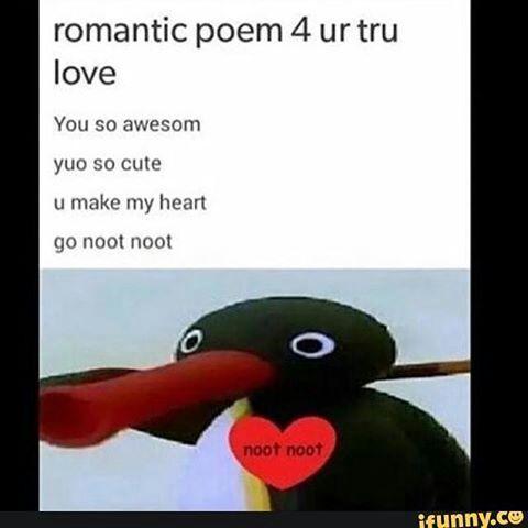 best of Toucan poem Funny
