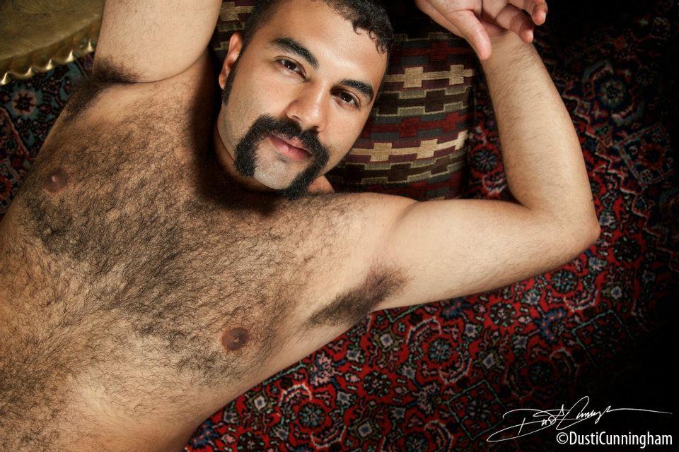 Bear gay hairy picture