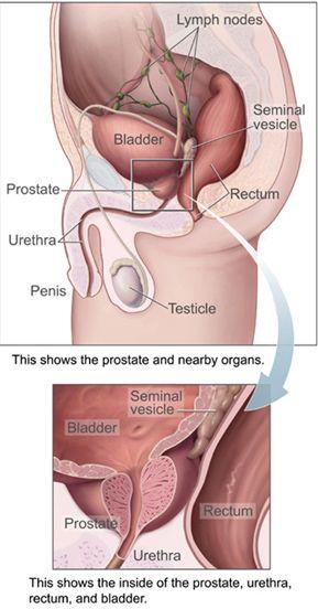 best of Orgasm prostate Induced