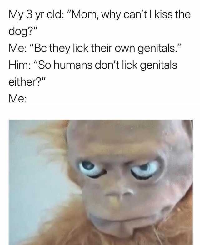 Lick my genitals