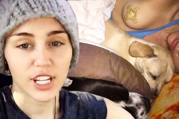 best of New boobs cyrus Miley