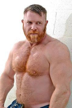 best of Ginger Naked bear gay hairy