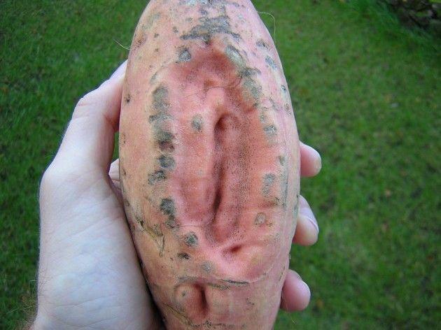Cookie reccomend Pics of most disgusting looking vagina