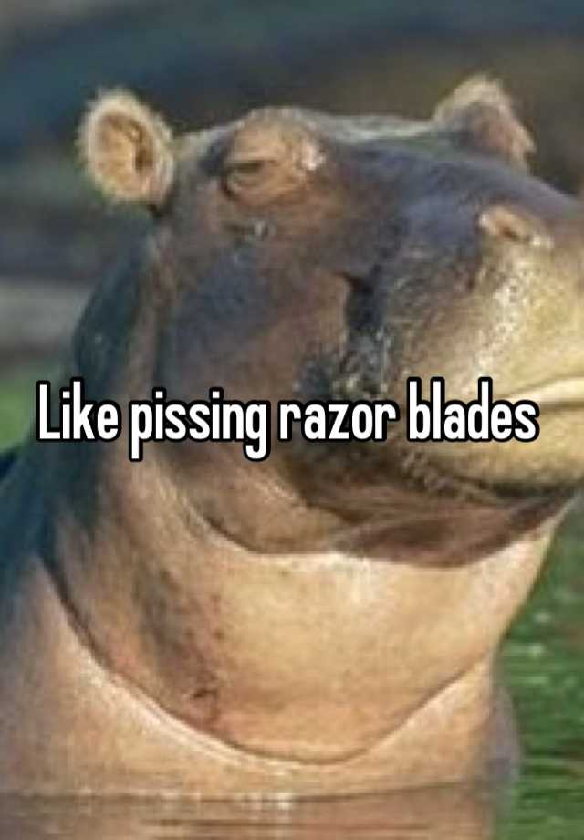 Pissing razor blades