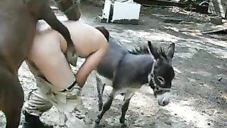 Woman having sex with donkey videos